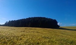 Фото на тему Відпочинок